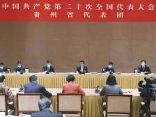 王沪宁参加党的二十大贵州代表团讨论