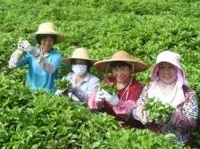 河源市灯塔盆地国家农业高新技术产业示范区：坚定走好科技兴农路