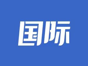 俄美两国防长通电话