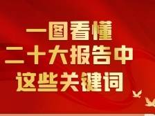 联播+丨一图看懂二十大报告中这些关键词