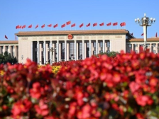 以党的自我革命引领社会革命——党的二十大代表谈坚持全面从严治党综述