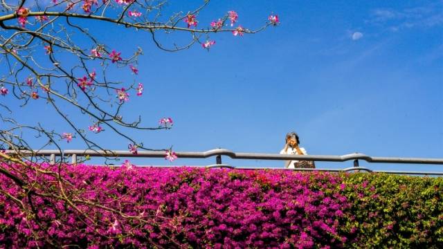 南方视频｜刷一波金秋画卷！广州繁花似锦