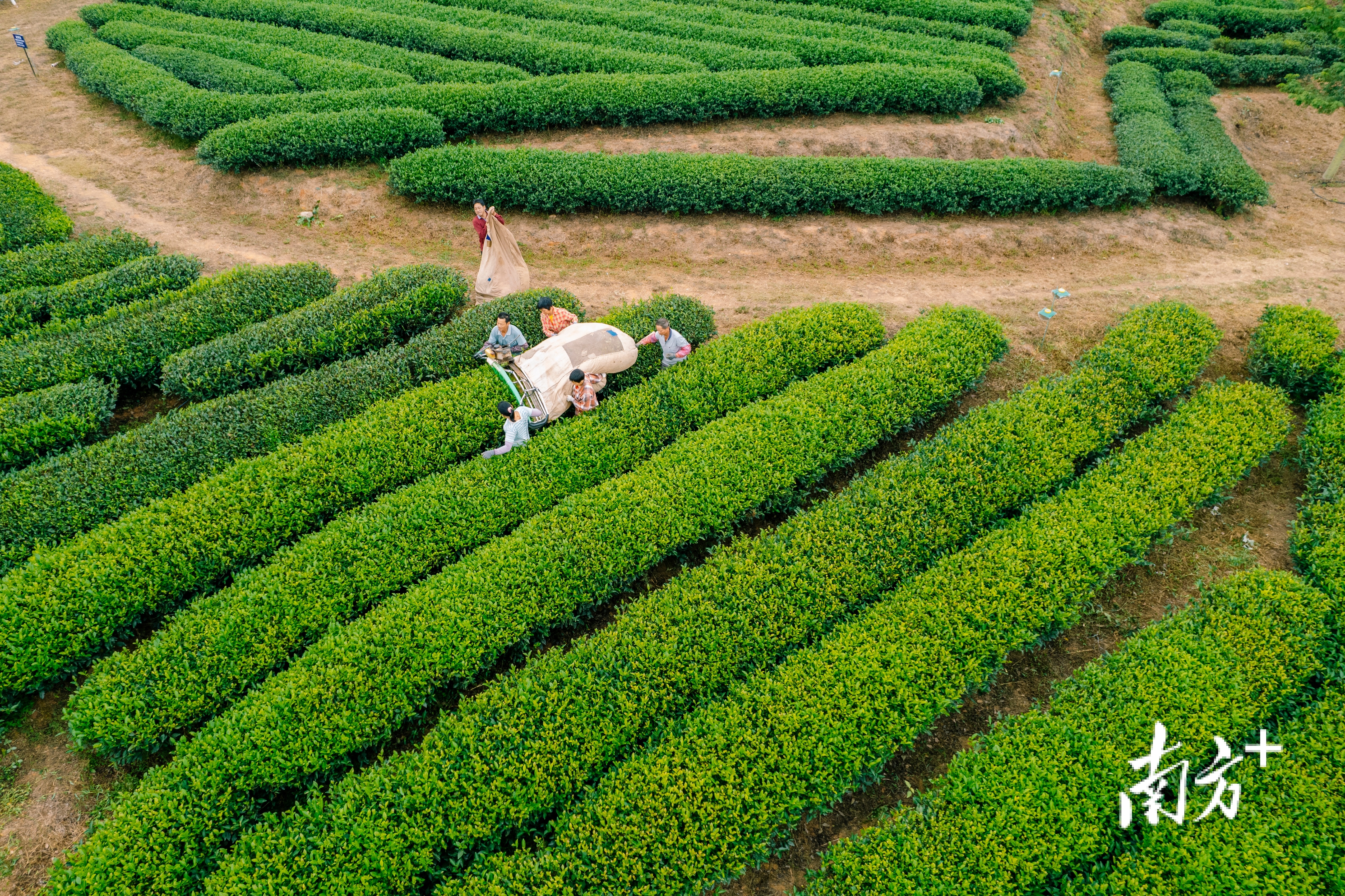 南方+ 王昌辉 拍摄