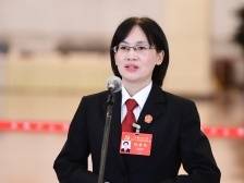 广东法官彭秋香亮相“党代表通道”：让司法改革在山区跑出加速度