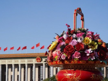 从1到9，学习党的二十大报告