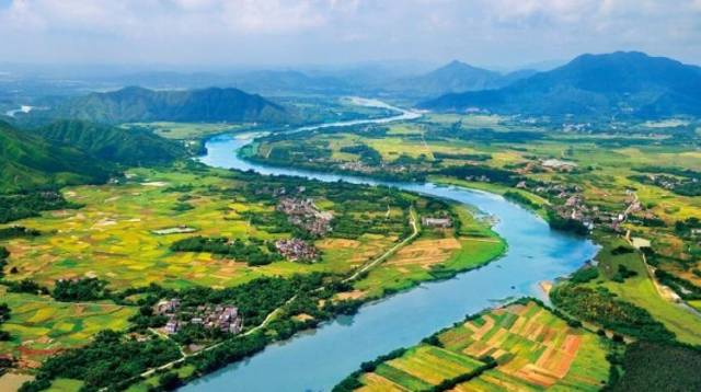 中山市水务局治水专班工作现场：上百河涌会战攻坚，“水清岸绿”承诺必达