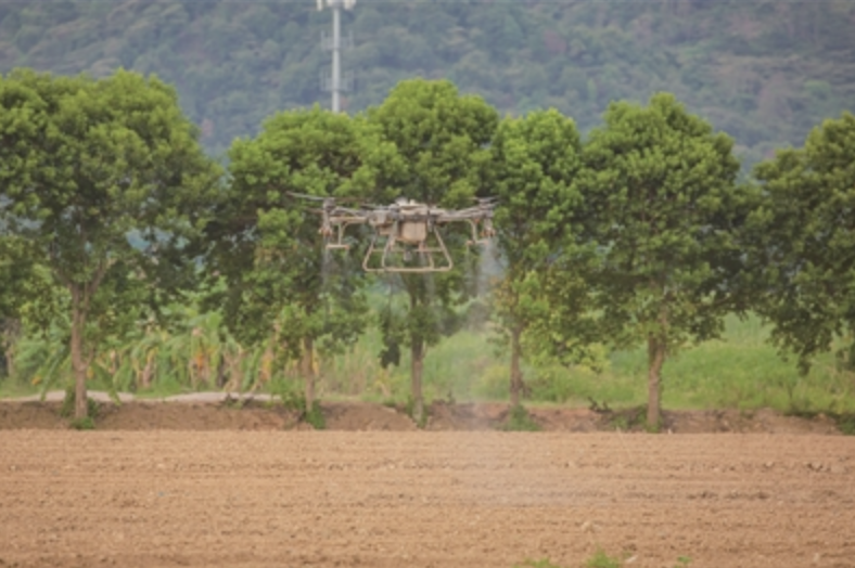 粤港澳大湾区现代都市农业综合示范基地内，植保无人机正在作业。