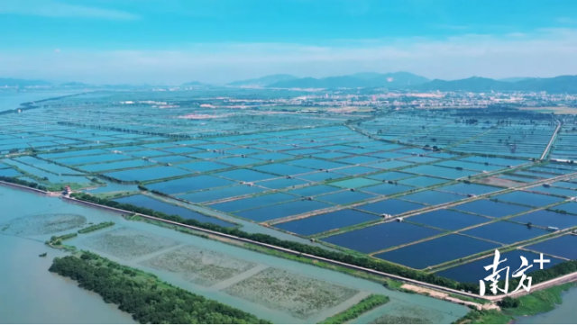 融通农发：擘画现代农业高质量发展新蓝图