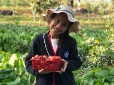 横商印记｜恒星农业：把航天农业科技示范园打造成横岗新名片