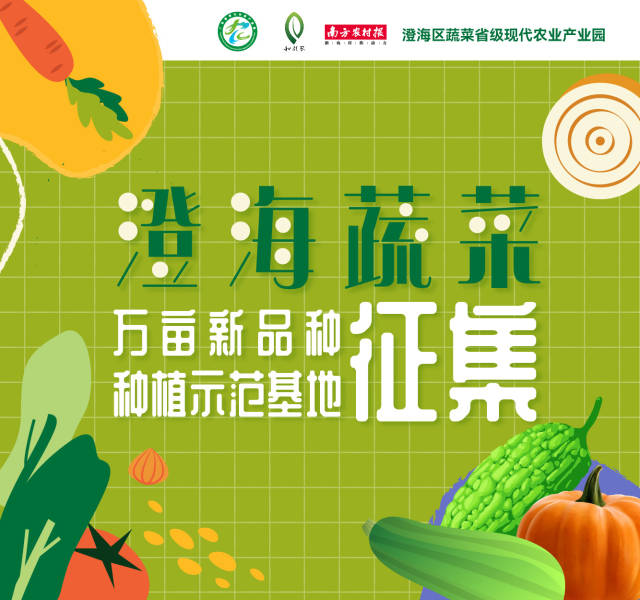 @全国种植户，澄海蔬菜万亩新品种示范种植基地活动正式启动