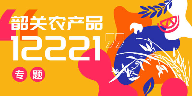 又大又憨萌，内心柔软的乐昌炮弹香芋，粉它！丨韶味大赏①