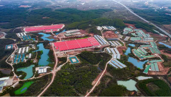 第一批！59家单位入选广东省省级种畜禽核心场、保种场保护区、基因库