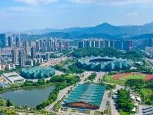 深读龙岗丨“11+2”“4+7”，龙岗战略性新兴产业集群发展密码