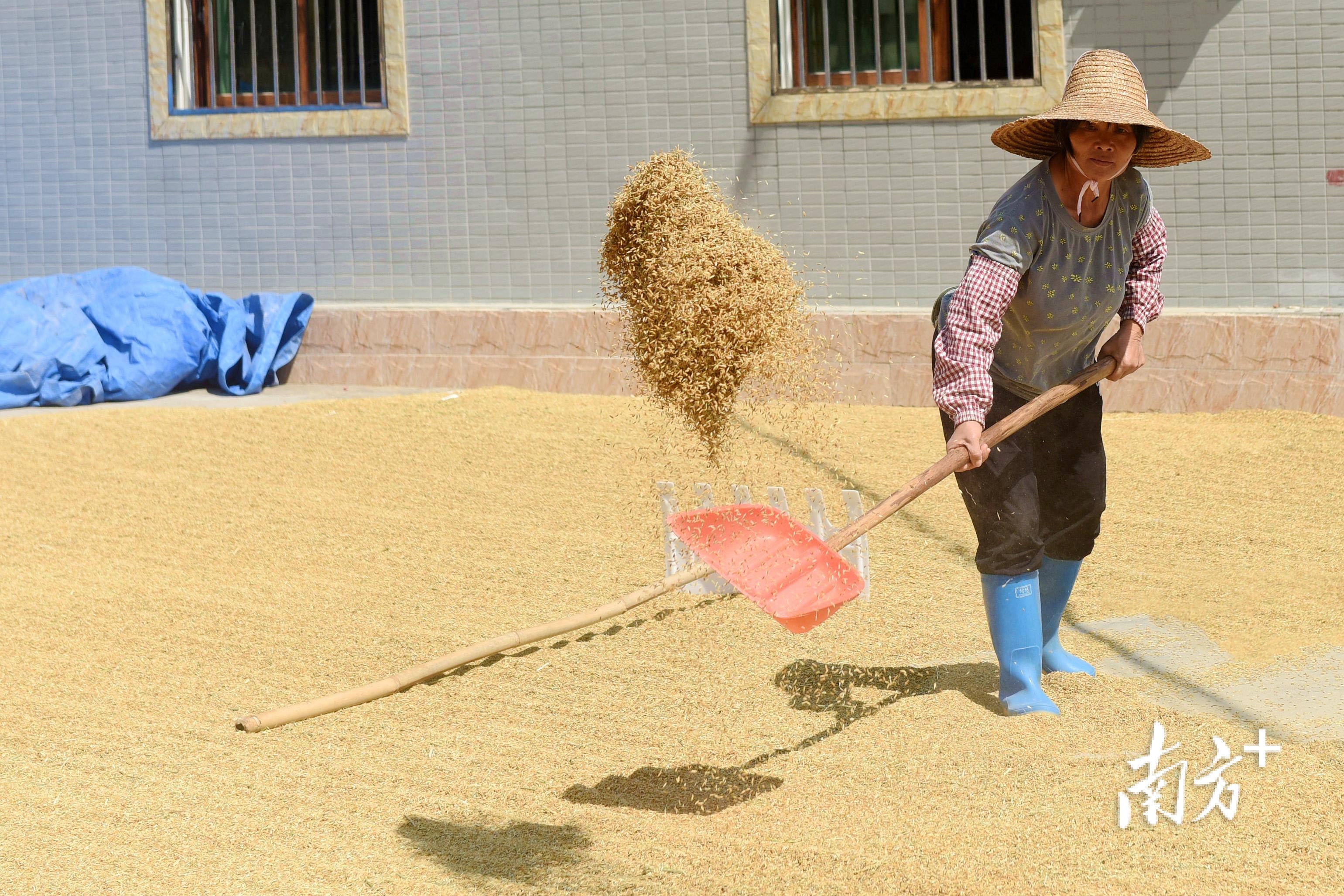 南方+ 梁维春 拍摄