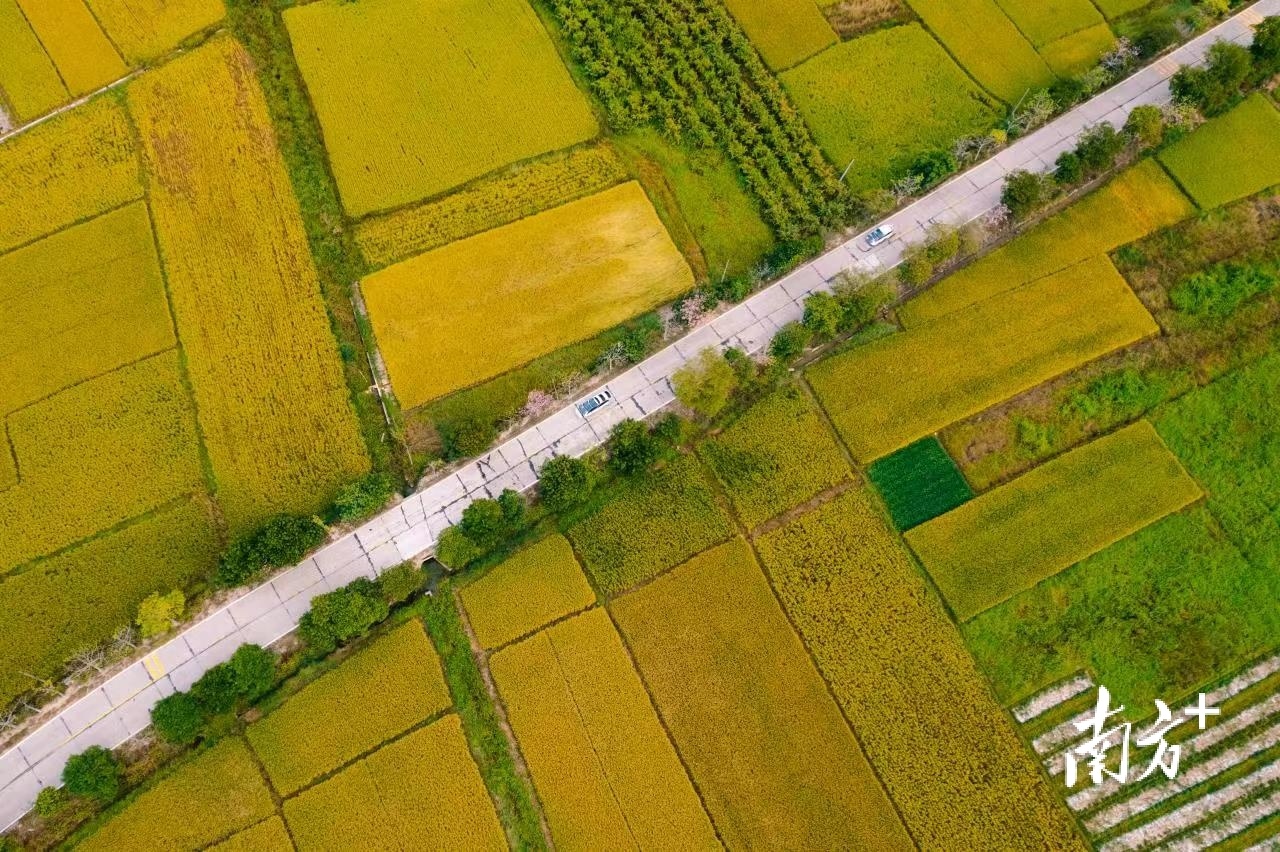 南方+ 梁维春 拍摄