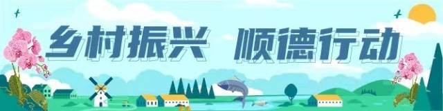 农业品牌赋能！顺德花卉抢占“美丽经济”新高地