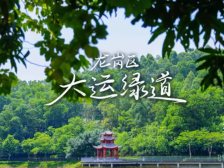 穿“阅”绿道 | 大运绿道：穿过“时光隧道”，悠享初秋慢时光