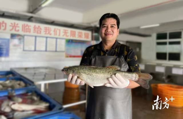 海集元水产科技有限公司总经理谢祖铭