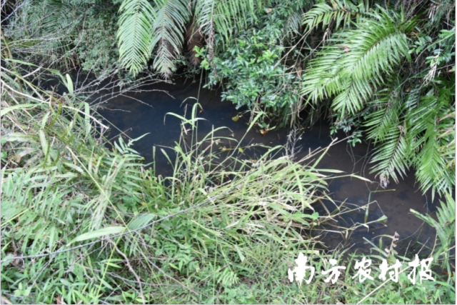 为了收集这粒种子，他们当起了“医生”、“管家”和“翻译官”......