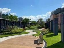 横商印记｜新马集团：从松柏街到创客园，横岗品质蝶变背后的企业力量