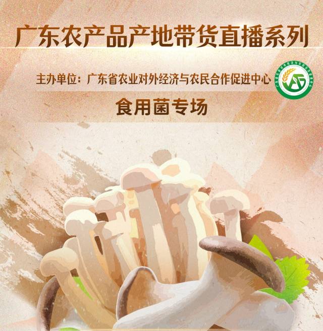 跨山出海！广东“12221”助力韶关建立食用菌电商高地