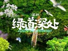 长卷｜在绿道上，看见另一个深圳