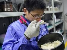 降血糖、减肥……低糖电饭煲是黑科技还是智商税？|探科技·双11特辑