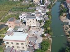 绿道彩跑，南沙榄核跑出“彩”