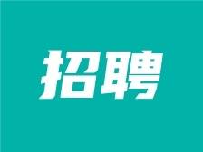 云城区招聘22名教育急需紧缺人才，11月8日前可报名