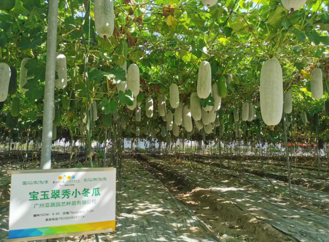 受访者供图