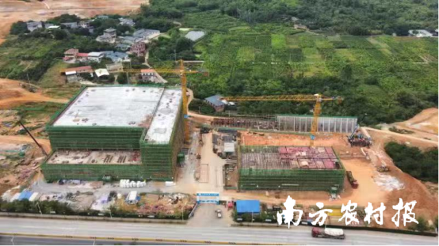 蜜罐子更甜了！蕉岭县蜜蜂现代农业产业园加快建设
