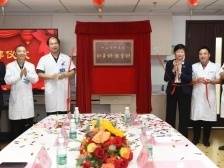 力争打造省重点专科！中山市中医院这个“金牌科室”揭牌