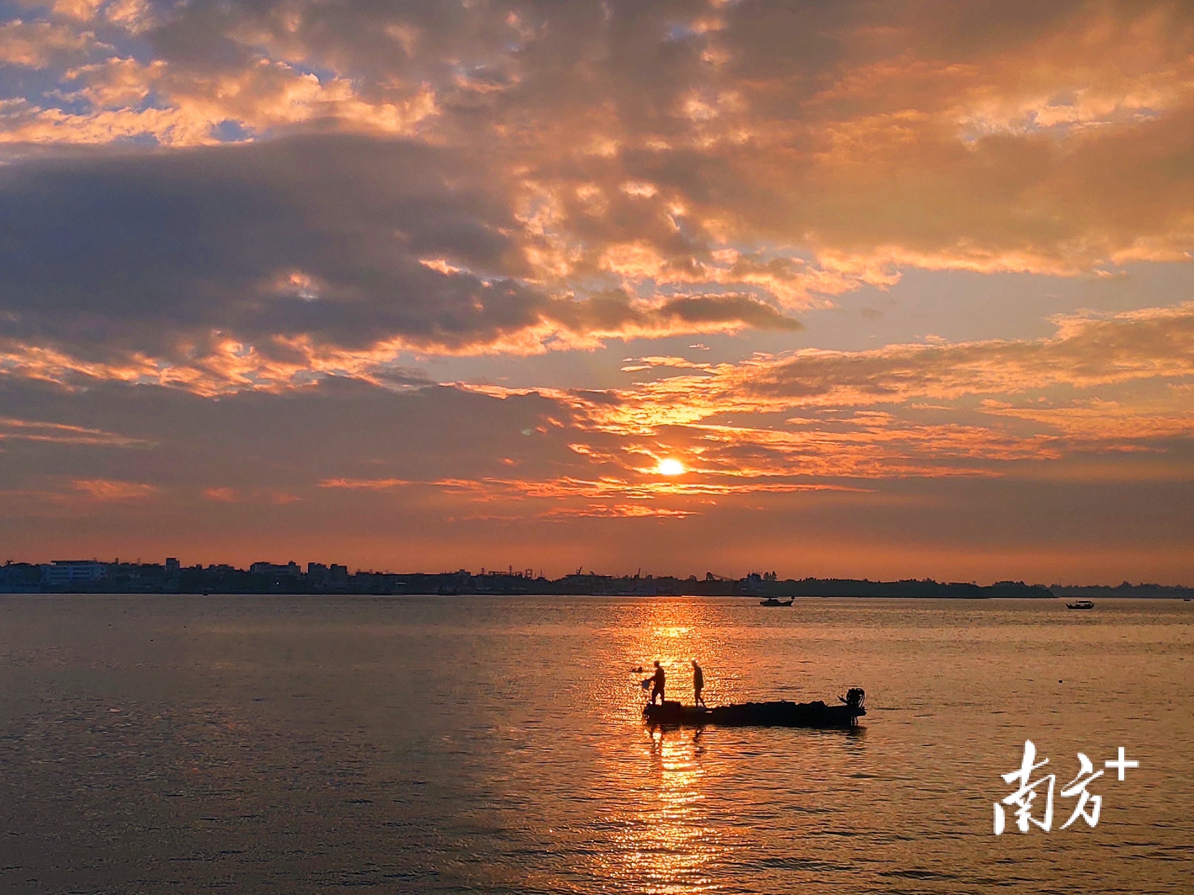 11月7日清晨，金色的霞光映红了湛江海湾，渔民驾驶小船在海上捕鱼。南方拍客 陈永锋 摄