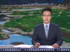 分布有中国面积最大的红树林！央视《新闻直播间》关注湛江湿地