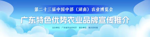 中部农博会广东展团完美收官，广东省农业农村厅荣获优秀组织奖