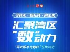 近百标杆同竞逐！这份征集令记录湾区数字化成功实践