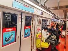 白蕉鲈鱼“游进”北京啦！全国首创年鱼博览会，珠海斗门凭什么