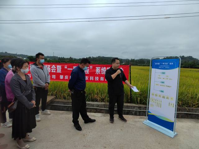 服务“三农”，一呼百应！德庆官圩数智化助农综合平台上线
