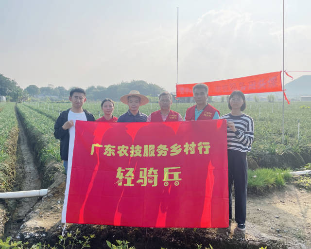 韭菜豇豆增产提质有妙招，“绿色”种菜安全又美味