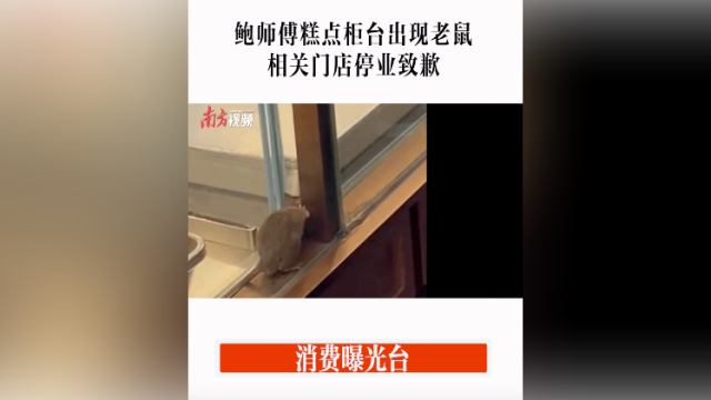 消费曝光台｜鲍师傅糕点柜台出现老鼠，相关门店停业致歉