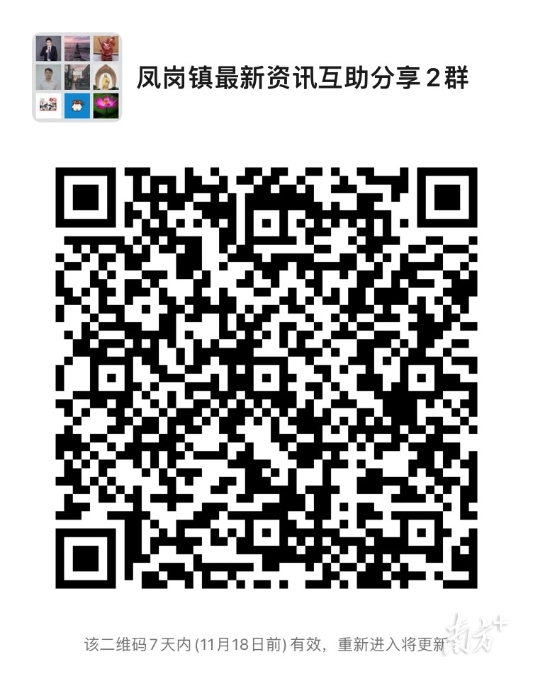 11月10日下午，2022年东莞市凤岗镇招商推介会拉开帷幕，共有数百家企业通过线上或线下的方式，参加了本次招商推介会。