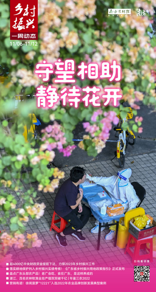 守望相助 静待花开｜乡村振兴一周动态