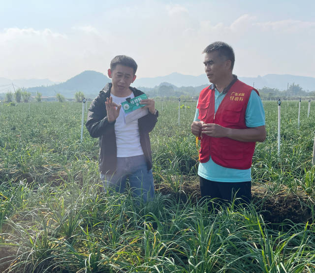 佛山市农业技术推广中心高级农艺师冯伟明（右）