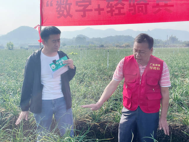 广东省农科院佛山分院正高级农艺师、广东果菜产业技术体系试验站站长梁普兴（右）、广东省农业技术推广中心高级农艺师李强（左）