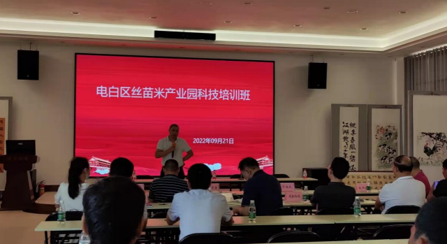 举办精准技术培训！华农大赋能广东丝苗米产业发展