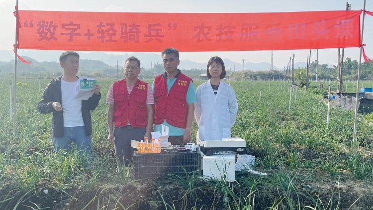 韭菜豇豆增产提质有妙招，“绿色”种菜安全又美味 | 田头课⑰