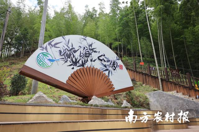 蕉岭县竹海公园