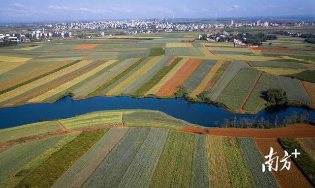 徐闻菠萝国家现代农业产业园
