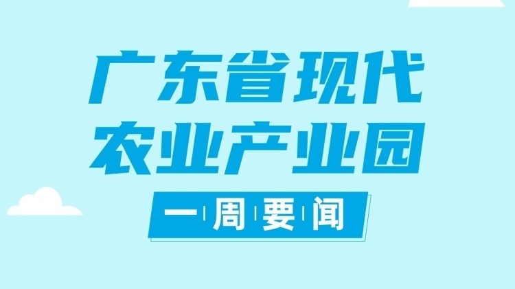 广东举行2023年省级现代农业产业园演讲答辩会|广东现代农业产业园一周要闻㉞