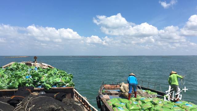 向海出发。